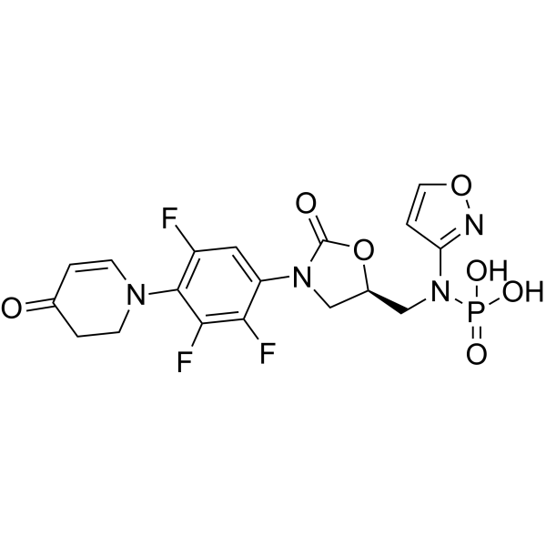 Contezolid phosphoramidic acid (MRX-I phosphoramidic acid) 1807365-43-0